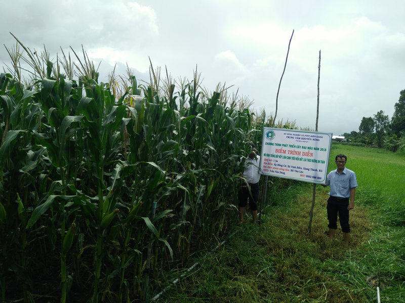 hoi thao bap (2).jpg